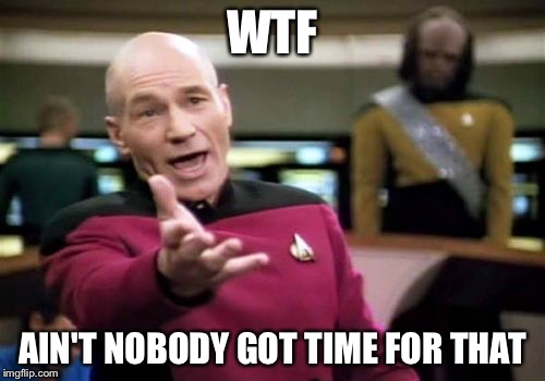 Picard Wtf | WTF AIN'T NOBODY GOT TIME FOR THAT | image tagged in memes,picard wtf | made w/ Imgflip meme maker