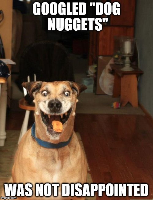 Looks like the internet DOES have everything. | GOOGLED "DOG NUGGETS" WAS NOT DISAPPOINTED | image tagged in memes,funny,raydog | made w/ Imgflip meme maker