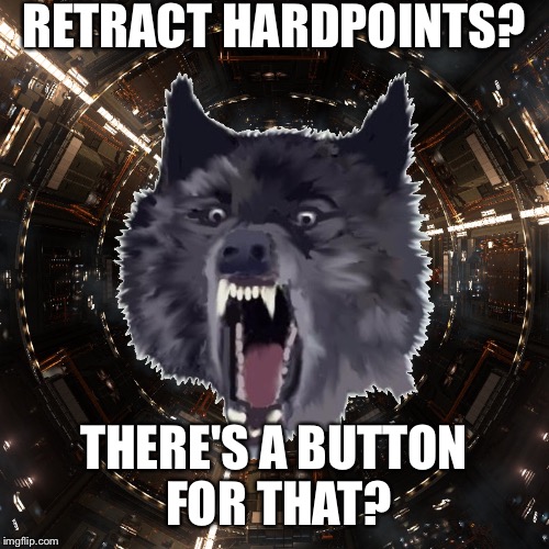 CMDR Wolf | RETRACT HARDPOINTS? THERE'S A BUTTON FOR THAT? | image tagged in cmdr wolf | made w/ Imgflip meme maker