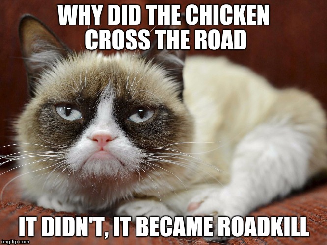 Grumpy Cat's joke. | WHY DID THE CHICKEN CROSS THE ROAD IT DIDN'T, IT BECAME ROADKILL | image tagged in grumpy cat | made w/ Imgflip meme maker