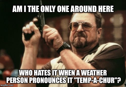 Am I The Only One Around Here | AM I THE ONLY ONE AROUND HERE WHO HATES IT WHEN A WEATHER PERSON PRONOUNCES IT "TEMP-A-CHUR"? | image tagged in memes,am i the only one around here | made w/ Imgflip meme maker