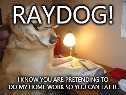 This idea came to me while I was doing my home work lol | RAYDOG! I KNOW YOU ARE PRETENDING TO DO MY HOME WORK SO YOU CAN EAT IT! | image tagged in raydog is doing what | made w/ Imgflip meme maker