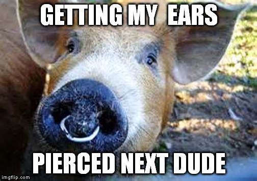 GETTING MY  EARS PIERCED NEXT DUDE | made w/ Imgflip meme maker