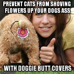 PREVENT CATS FROM SHOVING FLOWERS UP YOUR DOGS ASS WITH DOGGIE BUTT COVERS | made w/ Imgflip meme maker
