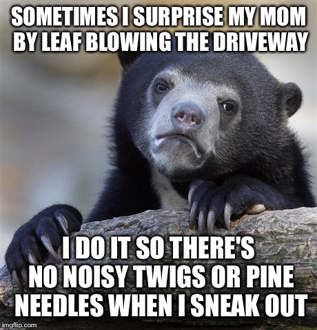 Confession Bear | SOMETIMES I SURPRISE MY MOM BY LEAF BLOWING THE DRIVEWAY I DO IT SO THERE'S NO NOISY TWIGS OR PINE NEEDLES WHEN I SNEAK OUT | image tagged in memes,confession bear,AdviceAnimals | made w/ Imgflip meme maker