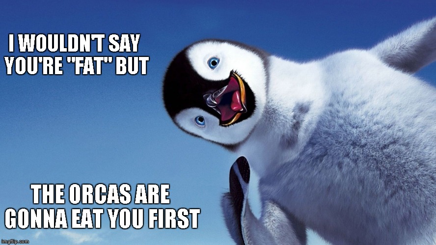 I WOULDN'T SAY YOU'RE "FAT" BUT THE ORCAS ARE GONNA EAT YOU FIRST | made w/ Imgflip meme maker