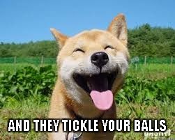 AND THEY TICKLE YOUR BALLS | made w/ Imgflip meme maker