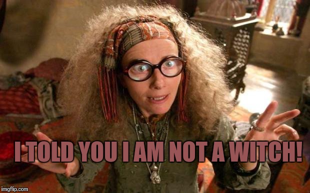 funny harry potter professor | I TOLD YOU I AM NOT A WITCH! | image tagged in funny harry potter professor | made w/ Imgflip meme maker