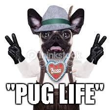 "PUG LIFE" | made w/ Imgflip meme maker