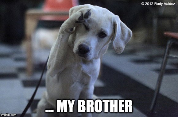 ... MY BROTHER | made w/ Imgflip meme maker