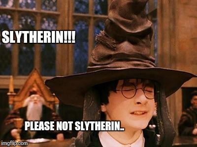 Harry Potter Hat | PLEASE NOT SLYTHERIN.. SLYTHERIN!!! | image tagged in harry potter hat | made w/ Imgflip meme maker