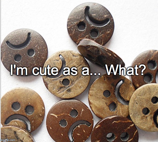 Butt? | I'm cute as a... What? | image tagged in cute,cute as a button,janey mack,button,sad button | made w/ Imgflip meme maker