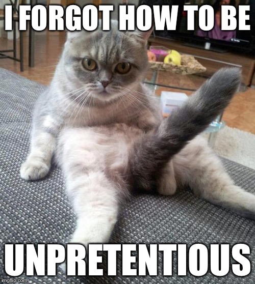 I forgot how... | I FORGOT HOW TO BE UNPRETENTIOUS | image tagged in memes,sexy cat,i forgot how | made w/ Imgflip meme maker