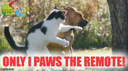 Some arguments you gotta take it outside! | ONLY I PAWS THE REMOTE! | image tagged in smacked with stupid,memes | made w/ Imgflip meme maker