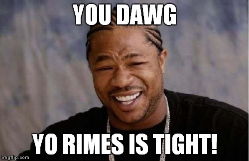 Yo Dawg Heard You Meme | YOU DAWG YO RIMES IS TIGHT! | image tagged in memes,yo dawg heard you | made w/ Imgflip meme maker