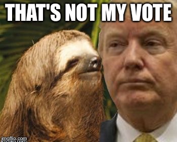 Political advice sloth | THAT'S NOT MY VOTE | image tagged in political advice sloth | made w/ Imgflip meme maker