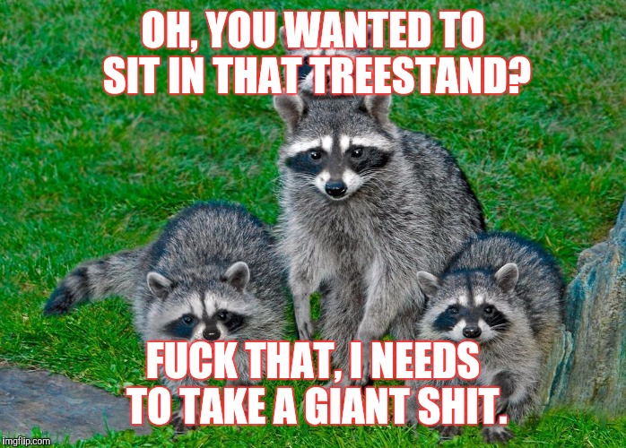 OH, YOU WANTED TO SIT IN THAT TREESTAND? F**K THAT, I NEEDS TO TAKE A GIANT SHIT. | made w/ Imgflip meme maker