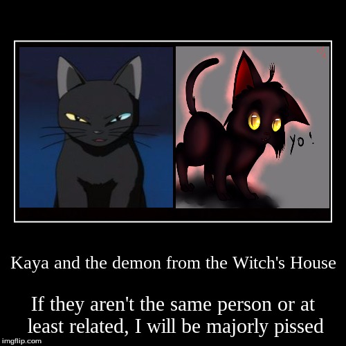 Why has no one ever said anything?! | image tagged in funny,demotivationals,black cat,ghost stories,witch's house,crossover | made w/ Imgflip demotivational maker