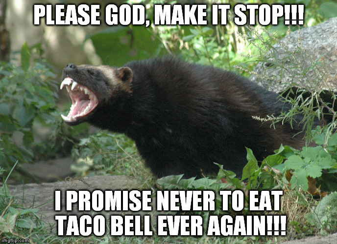 Wolverine | PLEASE GOD, MAKE IT STOP!!! I PROMISE NEVER TO EAT TACO BELL EVER AGAIN!!! | image tagged in wolverine | made w/ Imgflip meme maker