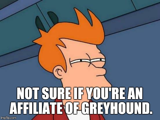 Futurama Fry Meme | NOT SURE IF YOU'RE AN AFFILIATE OF GREYHOUND. | image tagged in memes,futurama fry | made w/ Imgflip meme maker