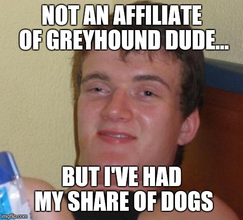 10 Guy Meme | NOT AN AFFILIATE OF GREYHOUND DUDE... BUT I'VE HAD MY SHARE OF DOGS | image tagged in memes,10 guy | made w/ Imgflip meme maker