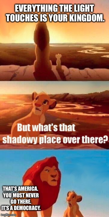 Simba Shadowy Place | EVERYTHING THE LIGHT TOUCHES IS YOUR KINGDOM. THAT'S AMERICA. YOU MUST NEVER GO THERE. IT'S A DEMOCRACY. | image tagged in memes,simba shadowy place | made w/ Imgflip meme maker