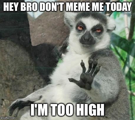 Stoner Lemur | HEY BRO DON'T MEME ME TODAY I'M TOO HIGH | image tagged in memes,stoner lemur | made w/ Imgflip meme maker