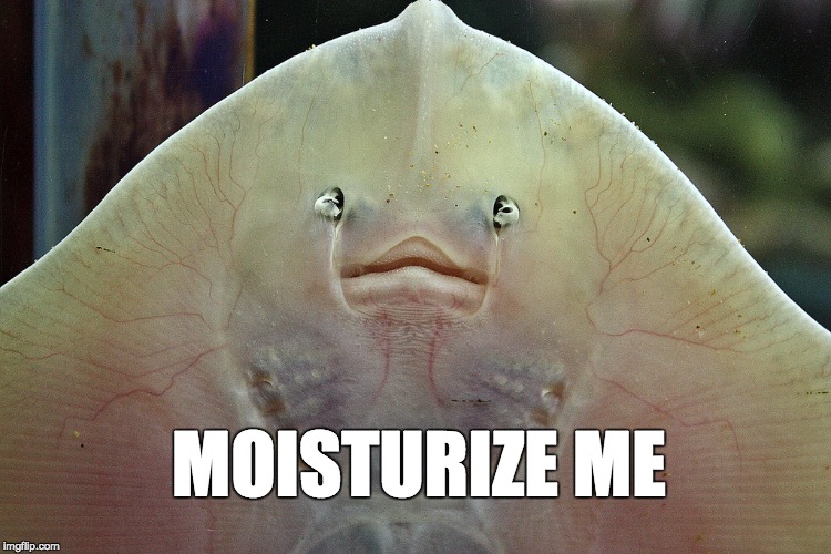 #doctorwhojokes | MOISTURIZE ME | image tagged in doctor who,manta ray | made w/ Imgflip meme maker