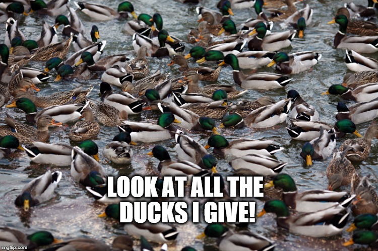 Look at All the Ducks I Give! | LOOK AT ALL THE DUCKS I GIVE! | image tagged in ducks i give,i don't give a duck,ask me if i give a duck | made w/ Imgflip meme maker