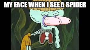 MY FACE WHEN I SEE A SPIDER | image tagged in freaked squidward | made w/ Imgflip meme maker