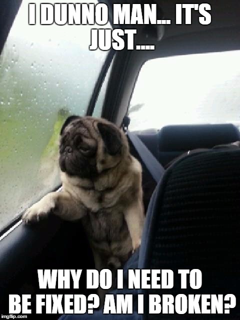 Introspective Pug | I DUNNO MAN...
IT'S JUST.... WHY DO I NEED TO BE FIXED? AM I BROKEN? | image tagged in introspective pug | made w/ Imgflip meme maker