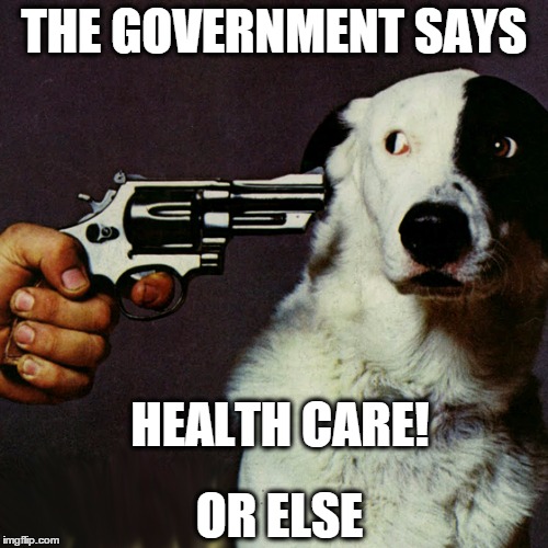 so being too poor to buy insurance, and too healthy to need insurance now gets you a fine... | THE GOVERNMENT SAYS HEALTH CARE! OR ELSE | image tagged in dog at gunpoint,obamacare,insurance,threats,politics | made w/ Imgflip meme maker