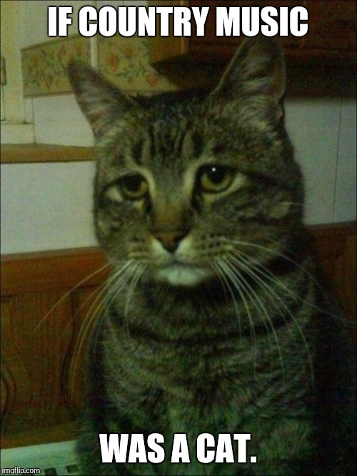 Depressed Cat | IF COUNTRY MUSIC WAS A CAT. | image tagged in memes,depressed cat | made w/ Imgflip meme maker