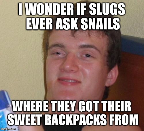 10 Guy | I WONDER IF SLUGS EVER ASK SNAILS WHERE THEY GOT THEIR SWEET BACKPACKS FROM | image tagged in memes,10 guy | made w/ Imgflip meme maker