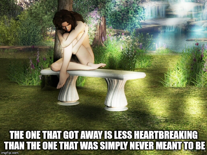 Wistful Longing | THE ONE THAT GOT AWAY IS LESS HEARTBREAKING THAN THE ONE THAT WAS SIMPLY NEVER MEANT TO BE | image tagged in wish,love,heart | made w/ Imgflip meme maker