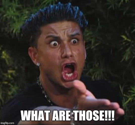 DJ Pauly D | WHAT ARE THOSE!!! | image tagged in memes,dj pauly d | made w/ Imgflip meme maker