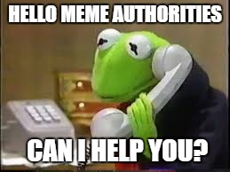 Hello meme authorities | HELLO MEME AUTHORITIES CAN I HELP YOU? | image tagged in hello | made w/ Imgflip meme maker