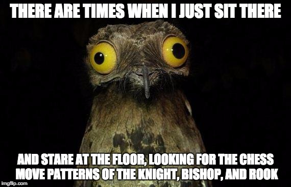 Weird Stuff I Do Potoo Meme | THERE ARE TIMES WHEN I JUST SIT THERE AND STARE AT THE FLOOR, LOOKING FOR THE CHESS MOVE PATTERNS OF THE KNIGHT, BISHOP, AND ROOK | image tagged in memes,weird stuff i do potoo | made w/ Imgflip meme maker