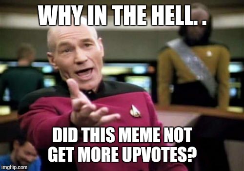 Picard Wtf Meme | WHY IN THE HELL. . DID THIS MEME NOT GET MORE UPVOTES? | image tagged in memes,picard wtf | made w/ Imgflip meme maker