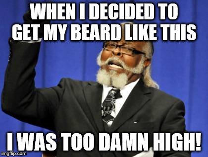 Too Damn High | WHEN I DECIDED TO GET MY BEARD LIKE THIS I WAS TOO DAMN HIGH! | image tagged in memes,too damn high | made w/ Imgflip meme maker