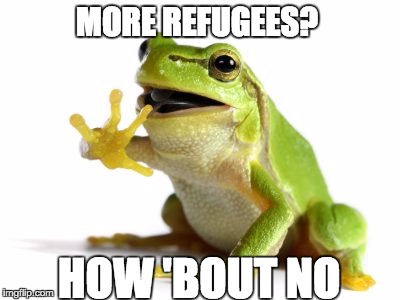 How 'bout no frog | MORE REFUGEES? HOW 'BOUT NO | image tagged in how 'bout no frog | made w/ Imgflip meme maker