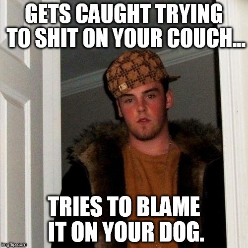 Scumbag Steve | GETS CAUGHT TRYING TO SHIT ON YOUR COUCH... TRIES TO BLAME IT ON YOUR DOG. | image tagged in memes,scumbag steve | made w/ Imgflip meme maker