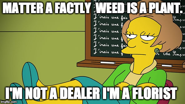 MATTER A FACTLY  WEED IS A PLANT. I'M NOT A DEALER I'M A FLORIST | image tagged in the dealer | made w/ Imgflip meme maker