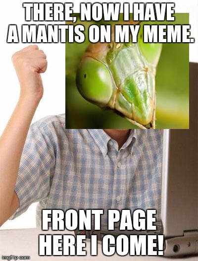 First Day On The Internet Kid Meme | THERE, NOW I HAVE A MANTIS ON MY MEME. FRONT PAGE HERE I COME! | image tagged in memes,first day on the internet kid | made w/ Imgflip meme maker