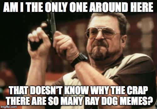 Am I The Only One Around Here | AM I THE ONLY ONE AROUND HERE THAT DOESN'T KNOW WHY THE CRAP THERE ARE SO MANY RAY DOG MEMES? | image tagged in memes,am i the only one around here | made w/ Imgflip meme maker