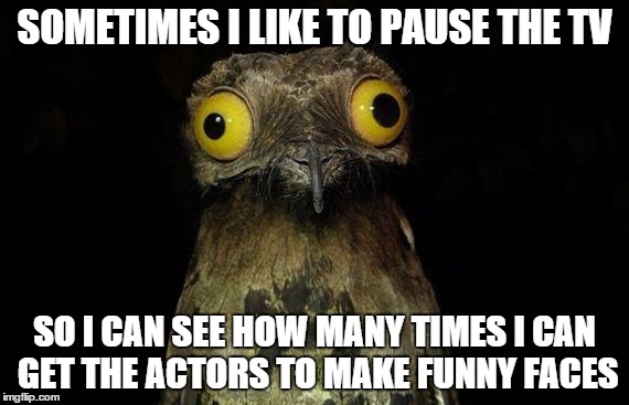 Weird Stuff I Do Potoo Meme | SOMETIMES I LIKE TO PAUSE THE TV SO I CAN SEE HOW MANY TIMES I CAN GET THE ACTORS TO MAKE FUNNY FACES | image tagged in memes,weird stuff i do potoo | made w/ Imgflip meme maker