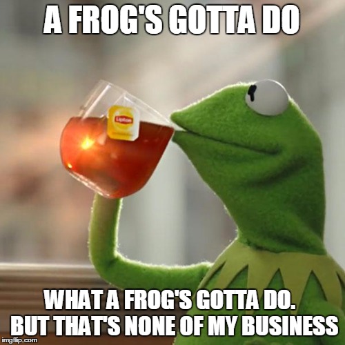 But That's None Of My Business Meme | A FROG'S GOTTA DO WHAT A FROG'S GOTTA DO.  BUT THAT'S NONE OF MY BUSINESS | image tagged in memes,but thats none of my business,kermit the frog | made w/ Imgflip meme maker