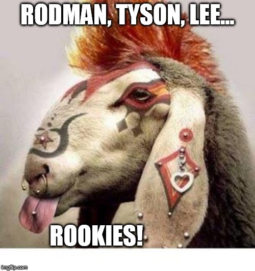 RODMAN, TYSON, LEE... ROOKIES! | image tagged in peirced goat,funny animals,memes,goat,piercings | made w/ Imgflip meme maker