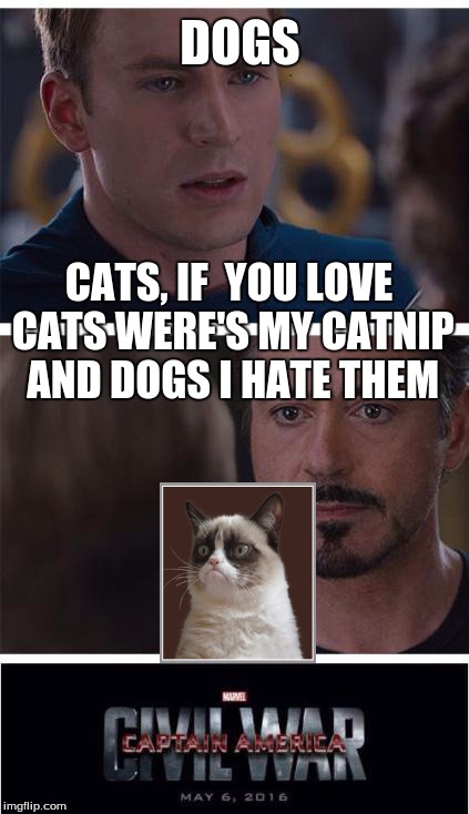Marvel Civil War 1 Meme | DOGS CATS, IF  YOU LOVE CATS WERE'S MY CATNIP AND DOGS I HATE THEM | image tagged in marvel civil war | made w/ Imgflip meme maker