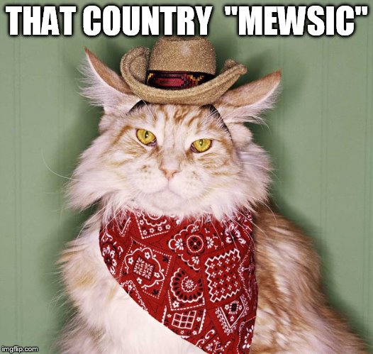 THAT COUNTRY 
"MEWSIC" | made w/ Imgflip meme maker